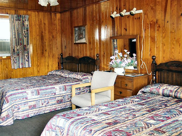 Basic Room with two beds