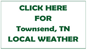 Local Weather Townsend TN