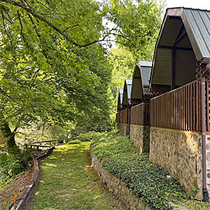 Cabin on the River at Dock's Motel in Townsend TN
