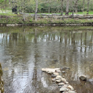 Little River from Dock's Motel on the River