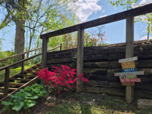 flowers at the bottom of the river stairs