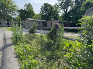 butterfly garden and fountain at Dock's Motel