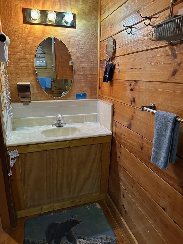 Hot Tub cabin 20 vanity sink and mirror