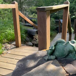 Ceramic Frog That sits at the top of the stairs to the private picnic are