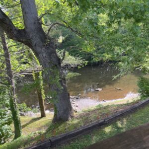 A view of the Little River from the banks above