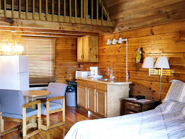 Cabin Hot Tub: efficiency kitchen-refrigerator, coffee maker, microwave, dishes, NO STOVE.