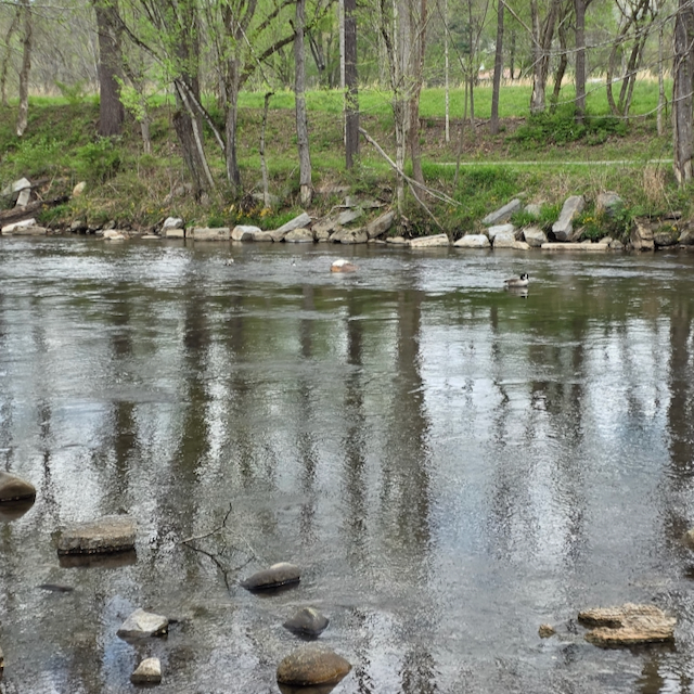The Little River in Townsend TN