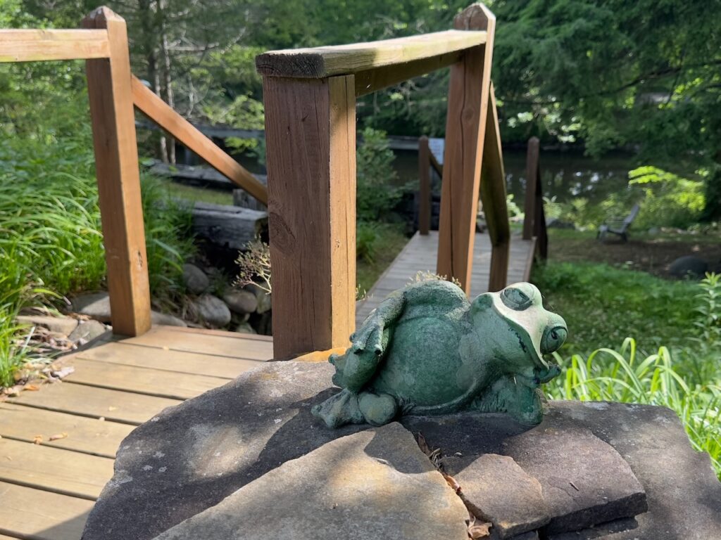 Ceramic Frog That sits at the top of the stairs to the private picnic are