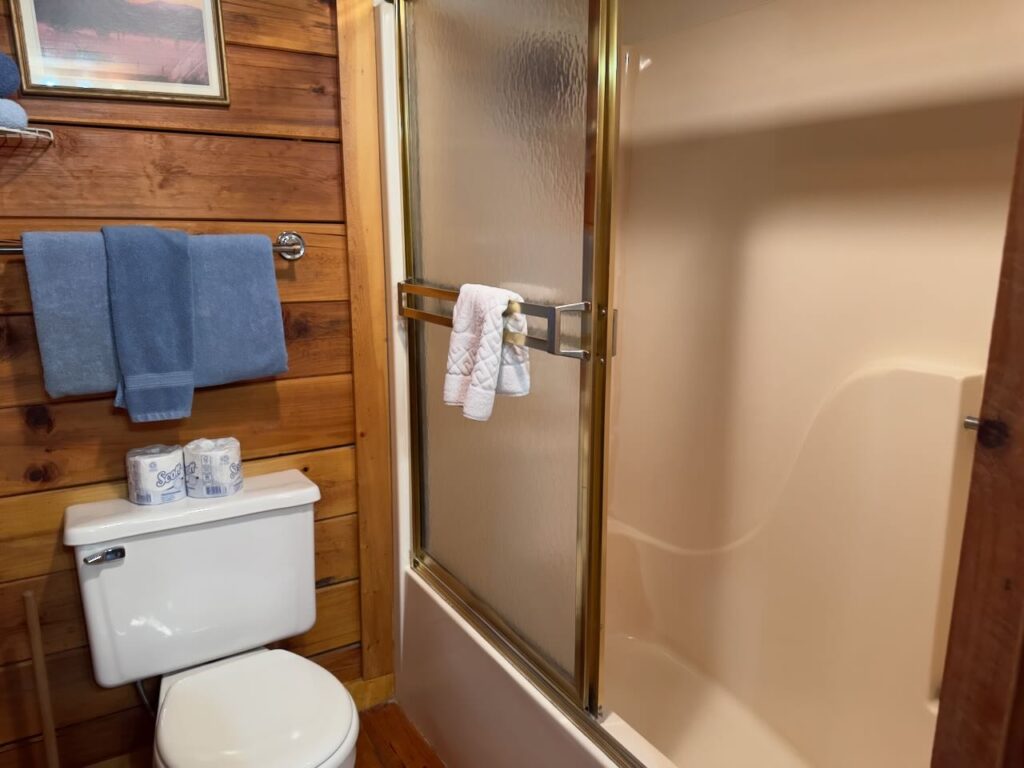 tub/shower combo and toilet in riverside cabin bathroom
