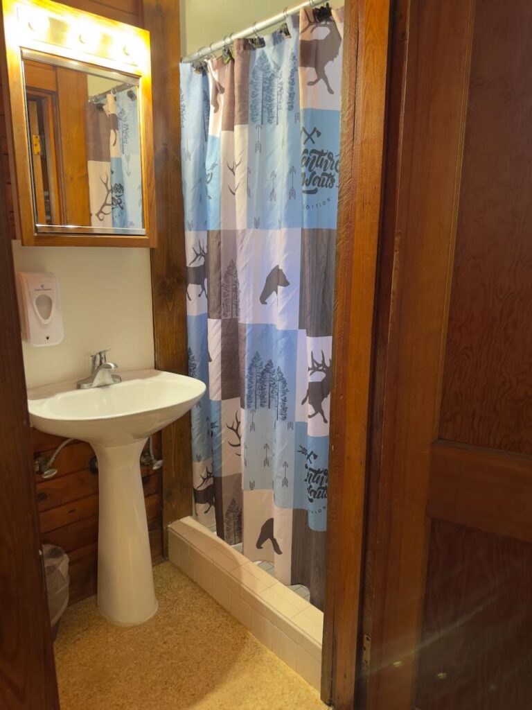 Standard motel bathroom at Dock's Motel with step-in shower