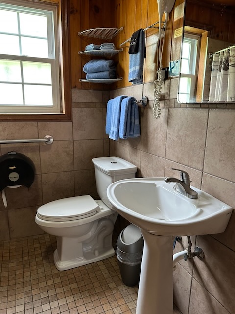 toilet and vanity in room 9 at Dock's motel in townsend TN