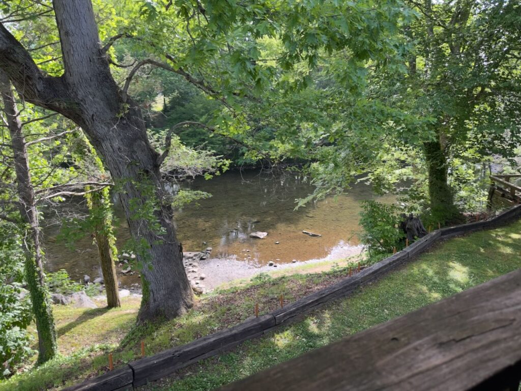 A view of the Little River from the banks above